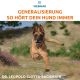 Webinar 