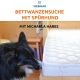 Live-Webinar 