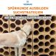 Live-Webinar 