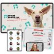 Hundekongress Vol. 5
