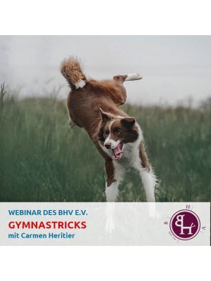 Gymnastricks (1 Tag Onlinefortbildung)