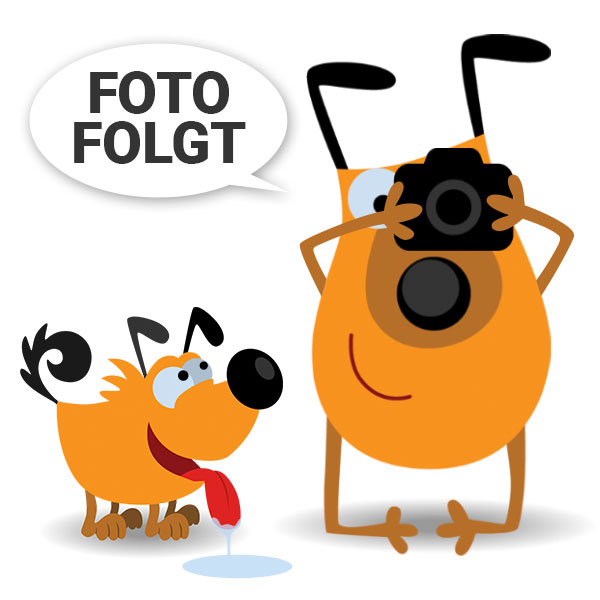 Hundegeschirr Norwegerform Hundwerkszeug Onlineshop