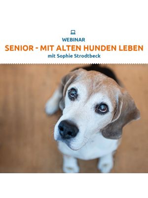 Webinar 