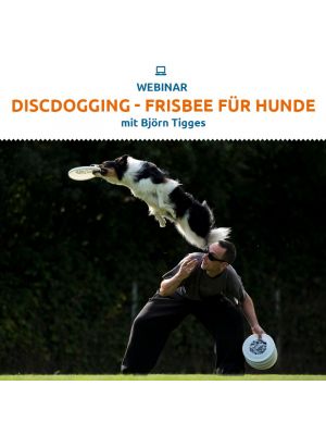 Webinar 
