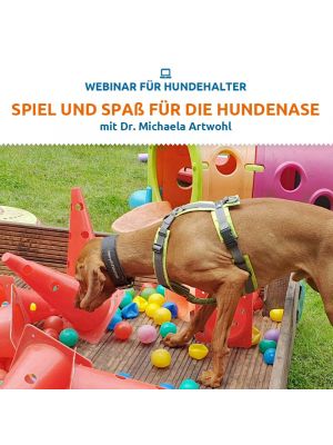 Webinar 