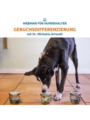 Webinar 
