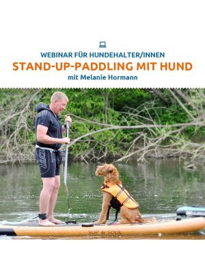 Webinar 