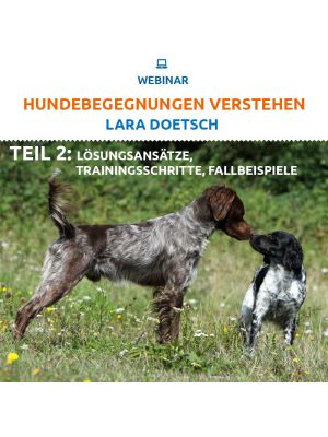 Hundebegegnungen verstehen, Teil 2