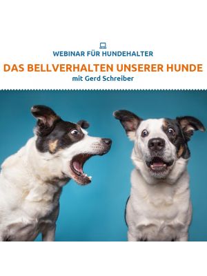 Webinar 