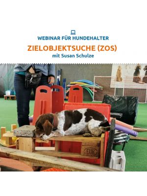 Webinar 