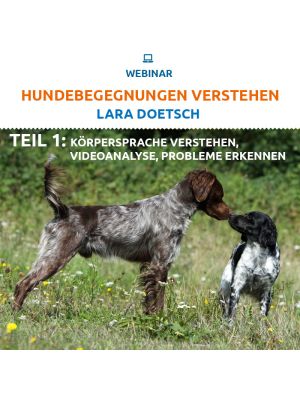 Hundebegegnungen verstehen, Teil 1