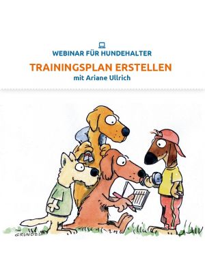 Webinar 