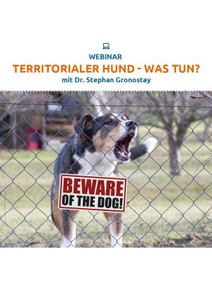 Webinar 