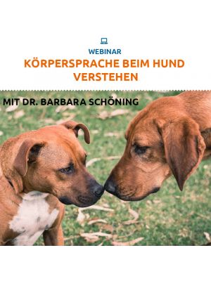 Webinar 