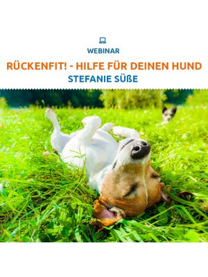 Rückenfit! - Hilfe für deinen Hund