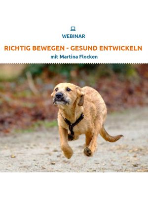 Webinar 