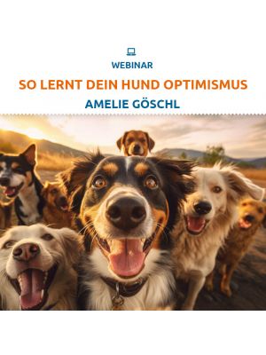 Webinar 