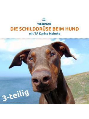 Webinar 