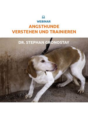 Webinar 