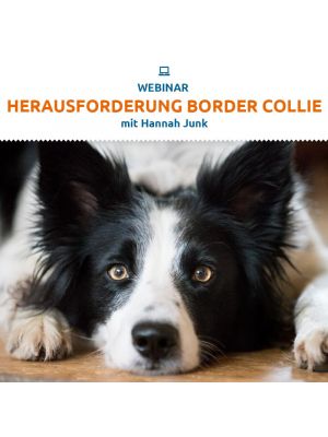 Webinar 