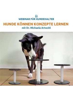 Webinar 