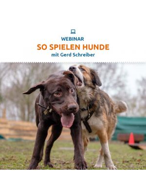 Webinar 