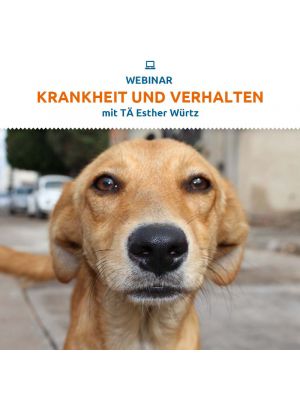 Webinar 