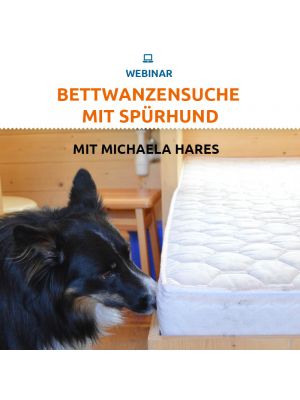 Webinar 