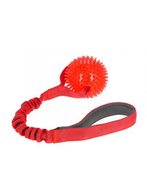 Bungee-Ball