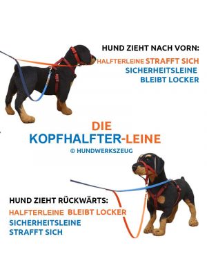 Halti-Sicherheitsleine