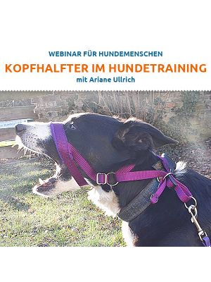 Webinar 