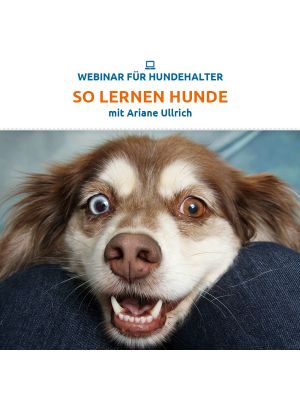Webinar 