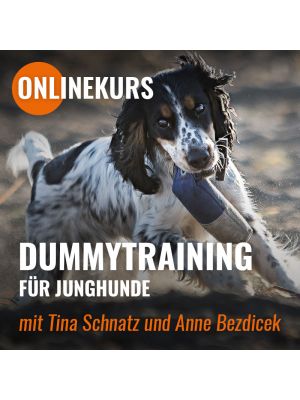 Onlinekurs 