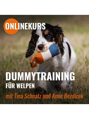 Onlinekurs Dummytraining für Welpen