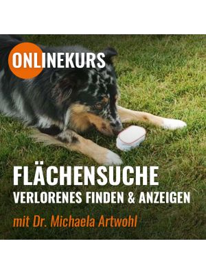 Onlinekurs 