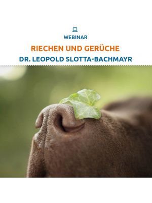 Webinar 