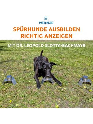 Webinar 