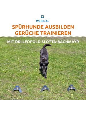 Webinar 
