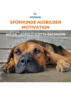 Webinar 