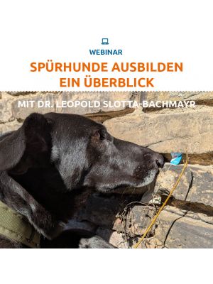 Webinar 