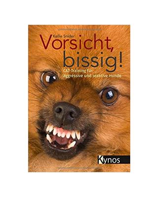 Buch 