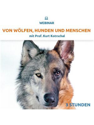 2-tlg. Webinar 