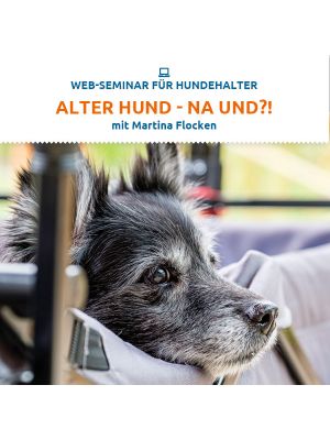 Webinar 
