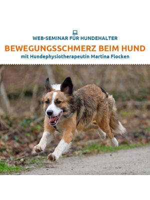 Webinar 