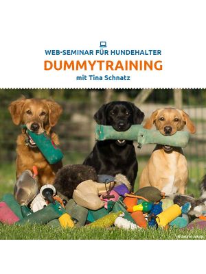 Webinar 