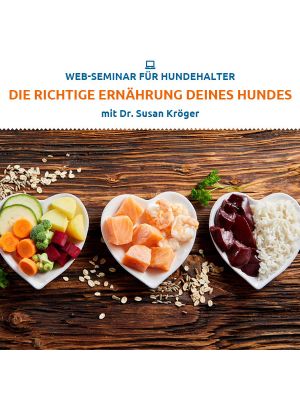 Webinar 