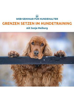 Webinar 