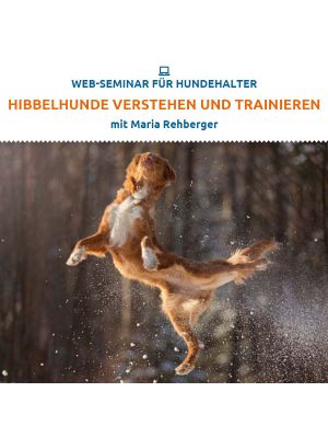 Webinar 