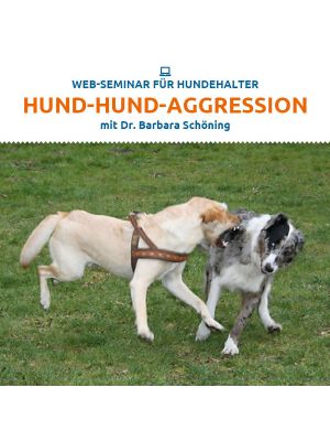 Webinar 