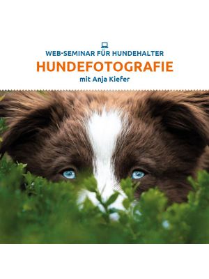 Webinar 